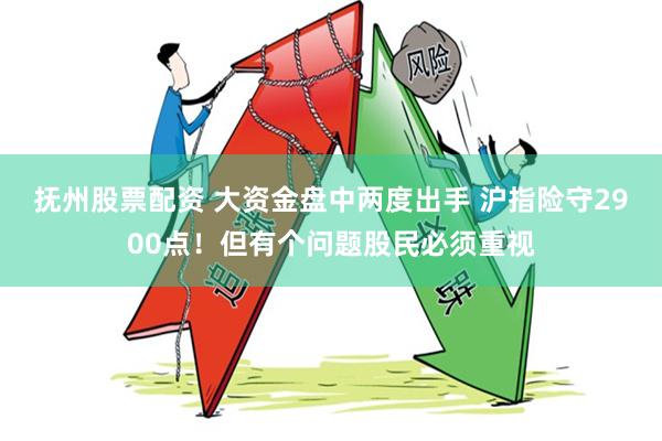 抚州股票配资 大资金盘中两度出手 沪指险守2900点！但有个问题股民必须重视