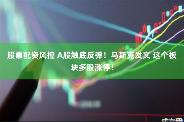 股票配资风控 A股触底反弹！马斯克发文 这个板块多股涨停！