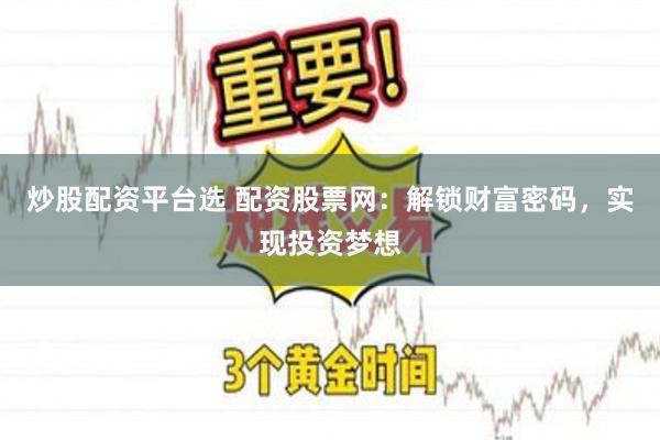 炒股配资平台选 配资股票网：解锁财富密码，实现投资梦想
