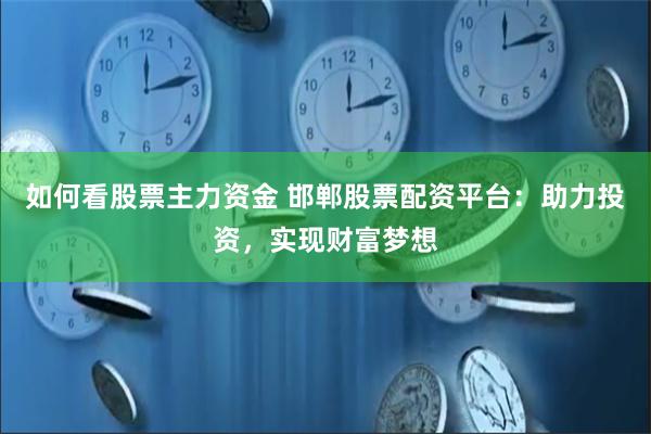如何看股票主力资金 邯郸股票配资平台：助力投资，实现财富梦想