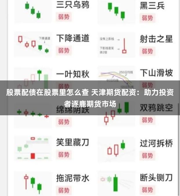股票配债在股票里怎么查 天津期货配资：助力投资者逐鹿期货市场