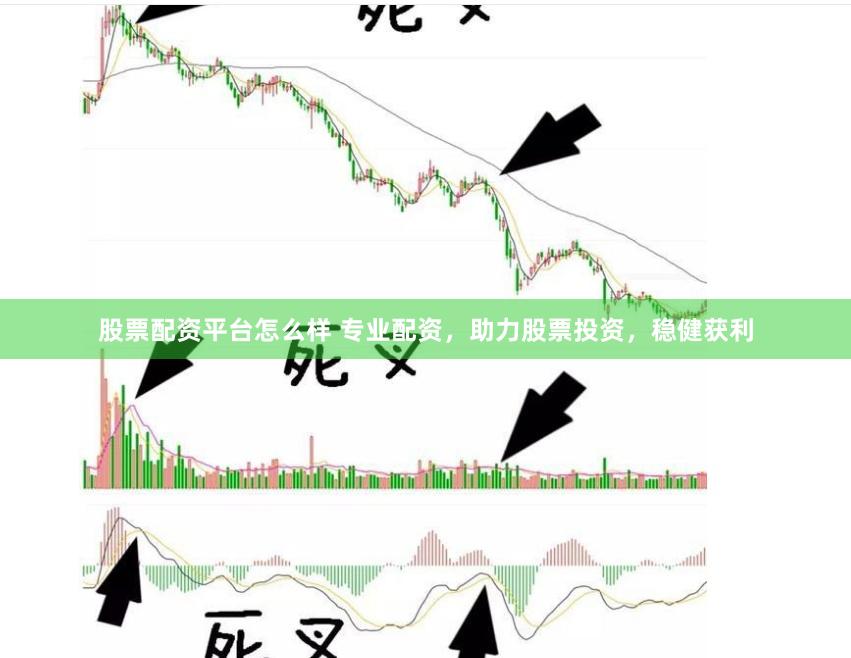 股票配资平台怎么样 专业配资，助力股票投资，稳健获利
