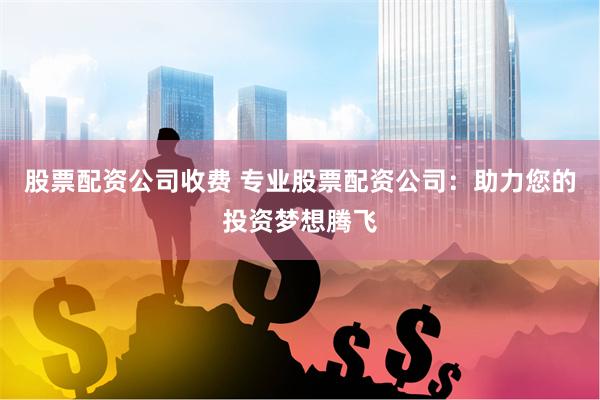 股票配资公司收费 专业股票配资公司：助力您的投资梦想腾飞