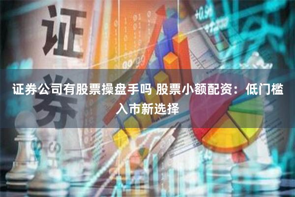 证券公司有股票操盘手吗 股票小额配资:低门槛入市新选择