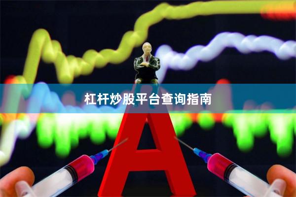 杠杆炒股平台查询指南