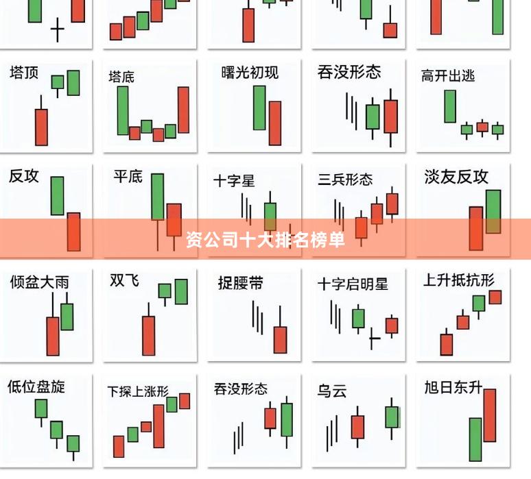 资公司十大排名榜单