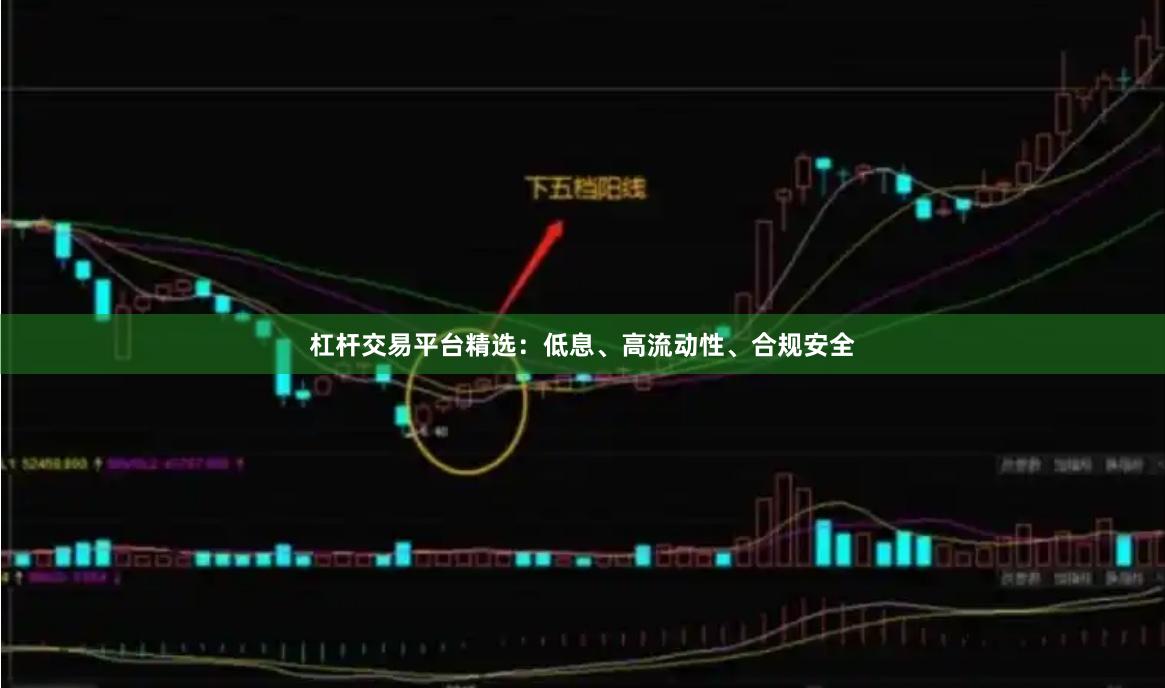 杠杆交易平台精选：低息、高流动性、合规安全