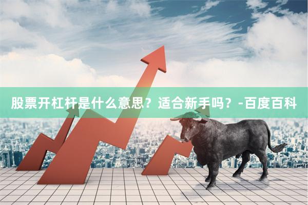 股票开杠杆是什么意思？适合新手吗？-百度百科